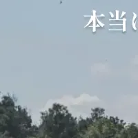 木質バイオマスの課題