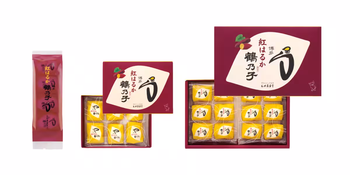 画像8