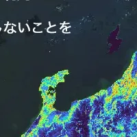 AIでクマリスク回避