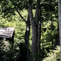 安全機能の新展開