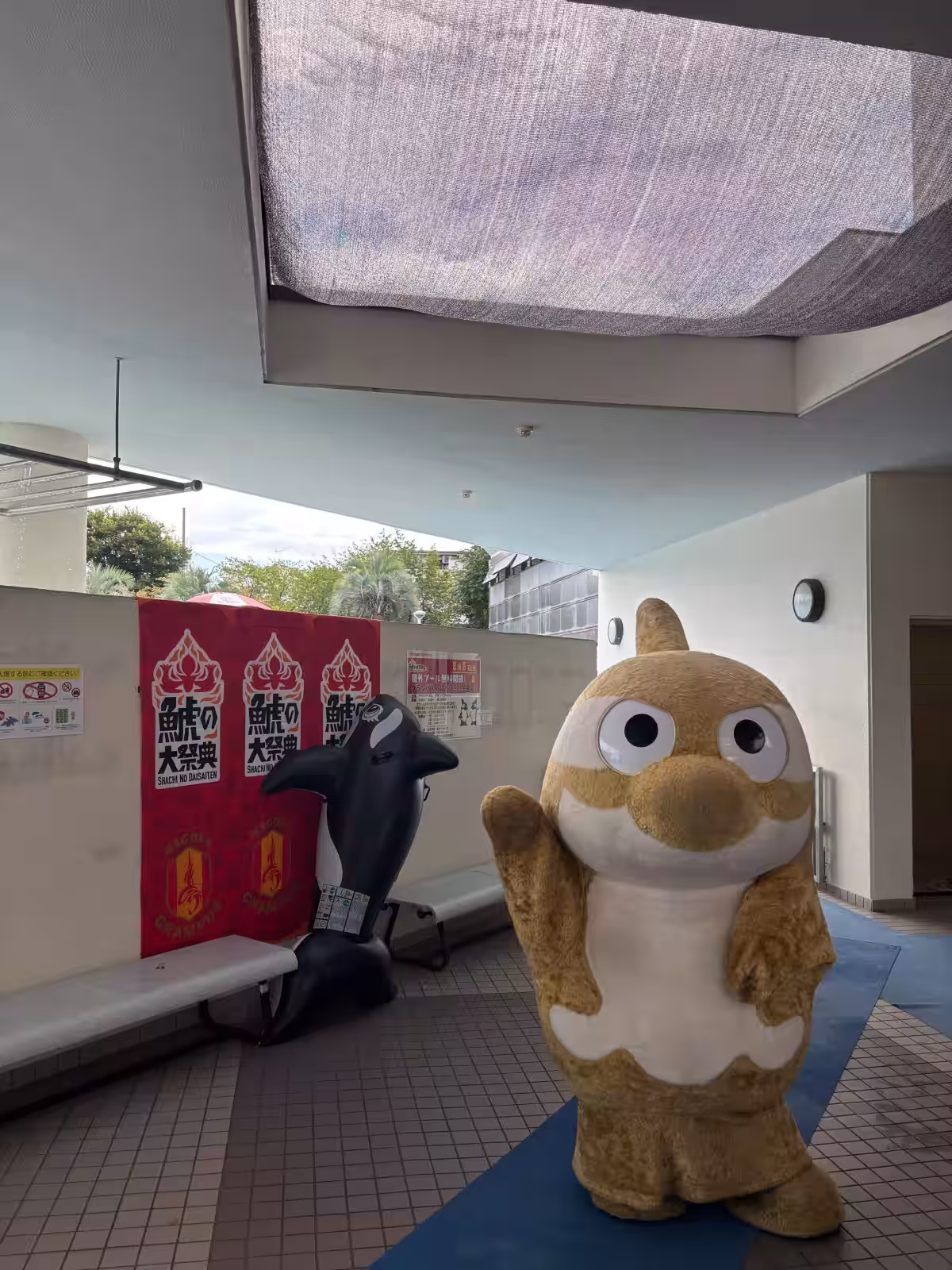画像8