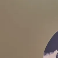 お月見を楽しむ