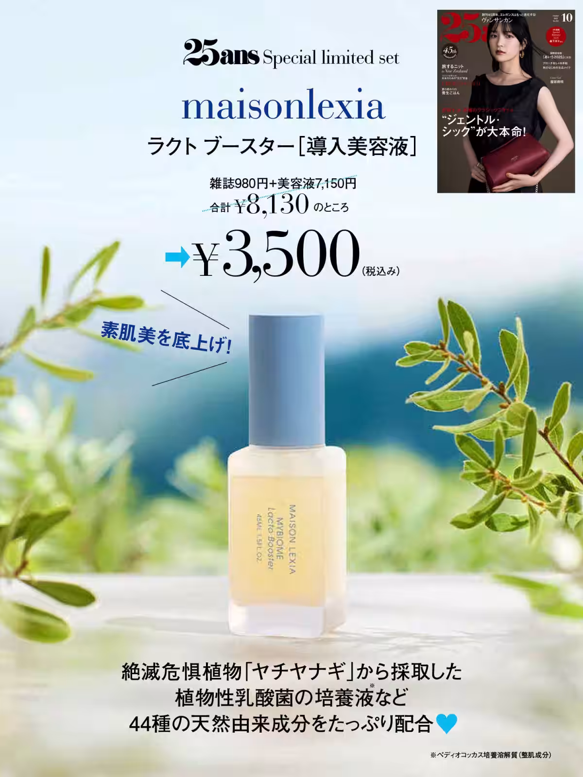 画像10