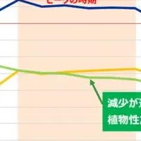 豆乳の健康効果
