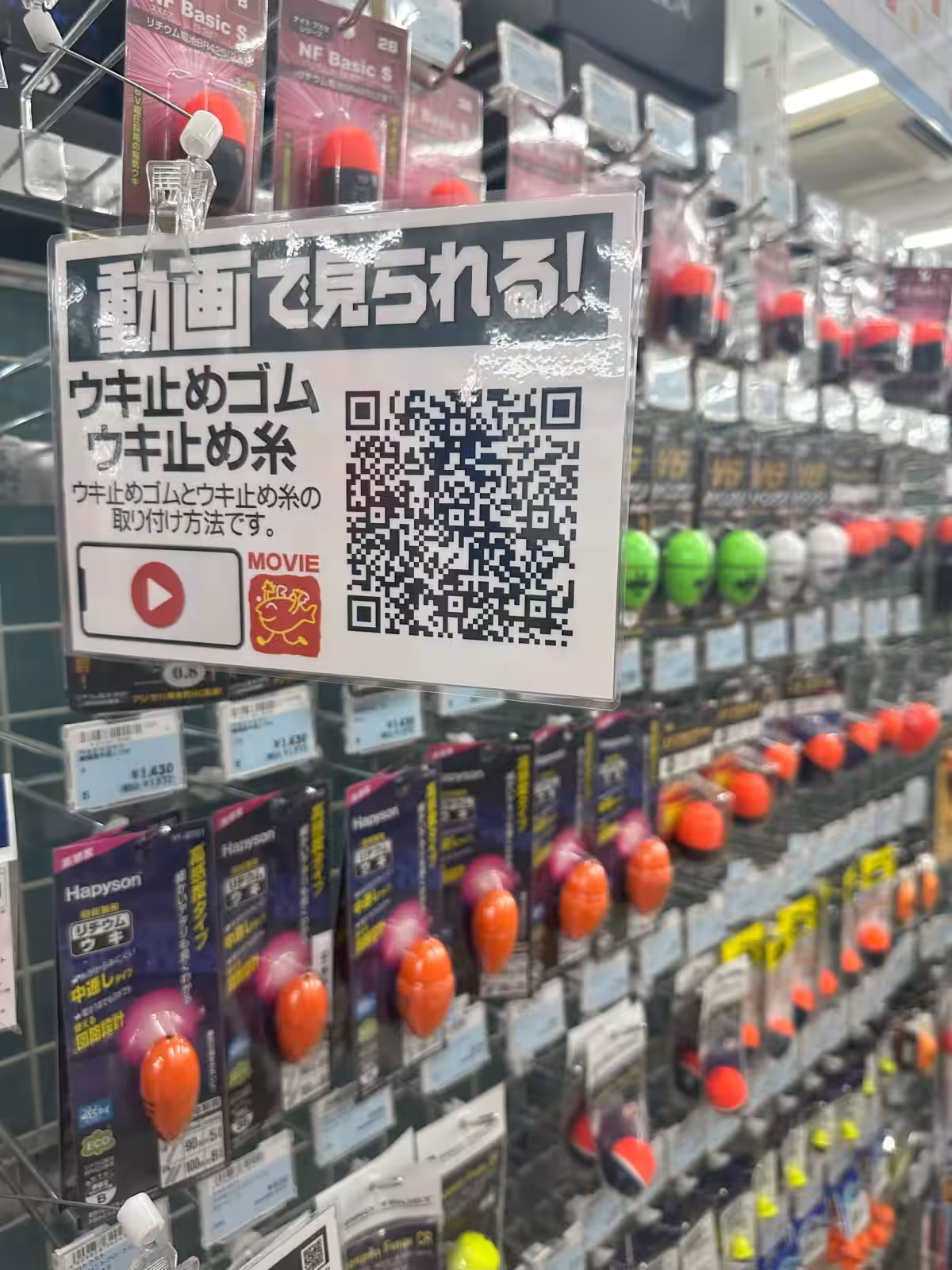 画像7