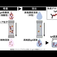 免疫グロブリンAの新技術