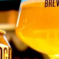 BREWDOG新作登場
