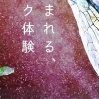3Dホログラムスタジオ