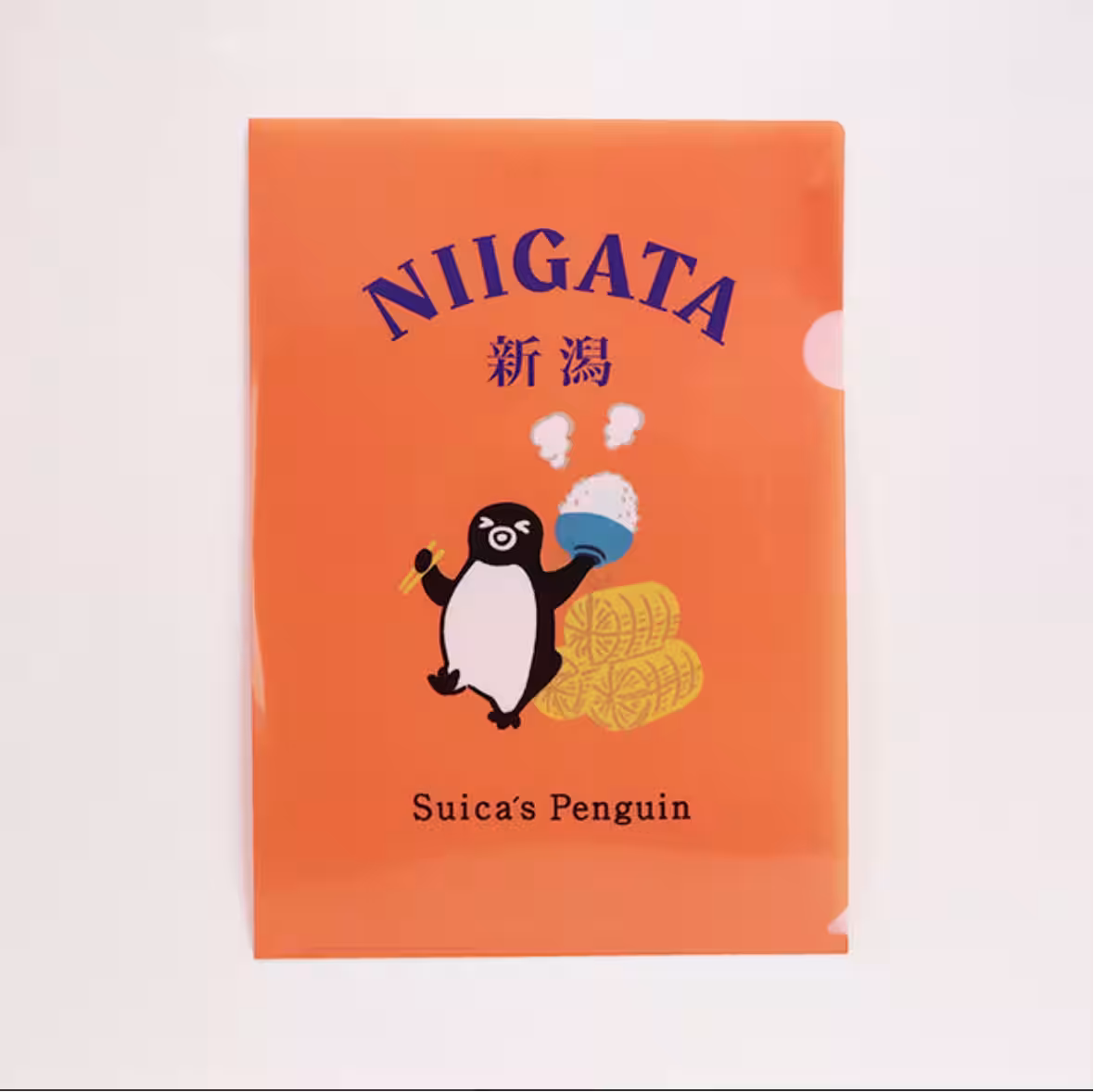 画像8
