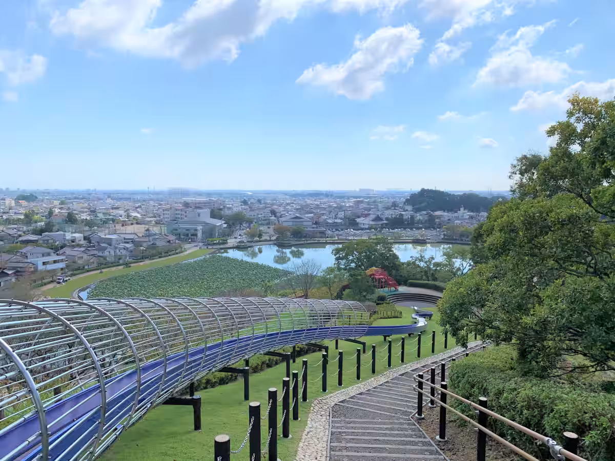 画像9