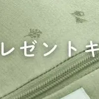 ergoPouch プレゼント