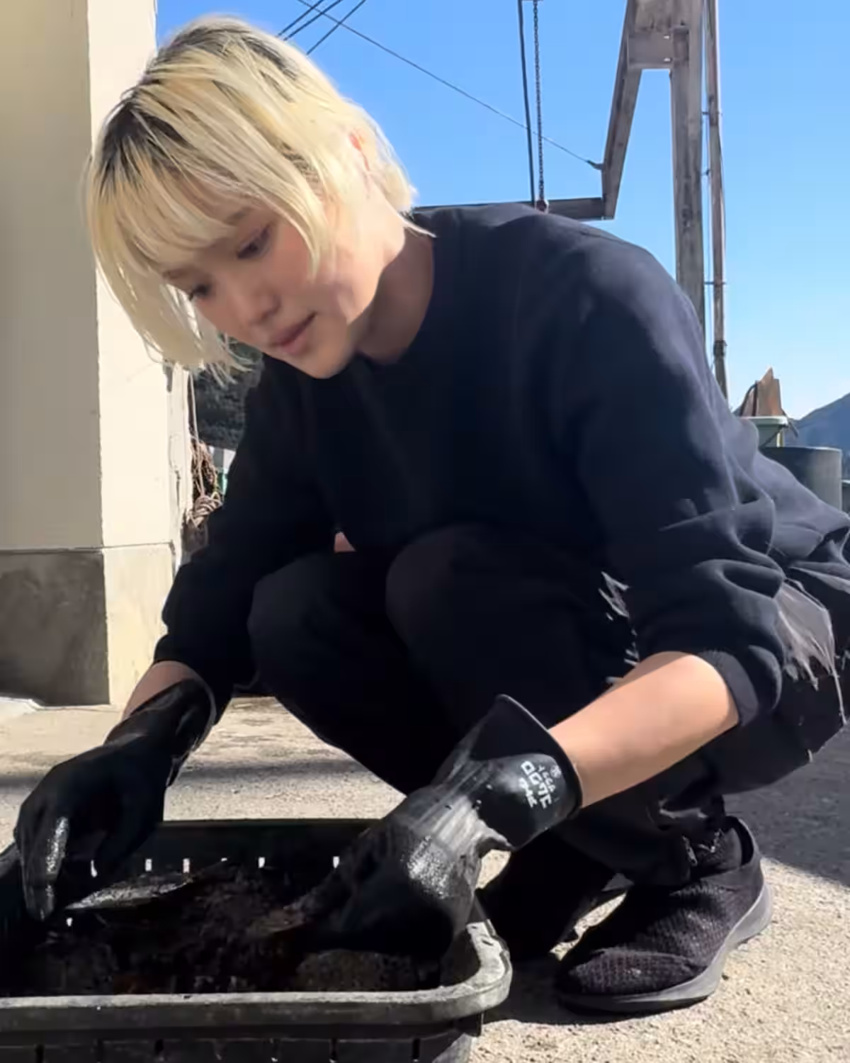 画像12