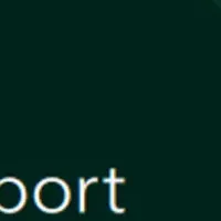 ICMG Groupの成長戦略