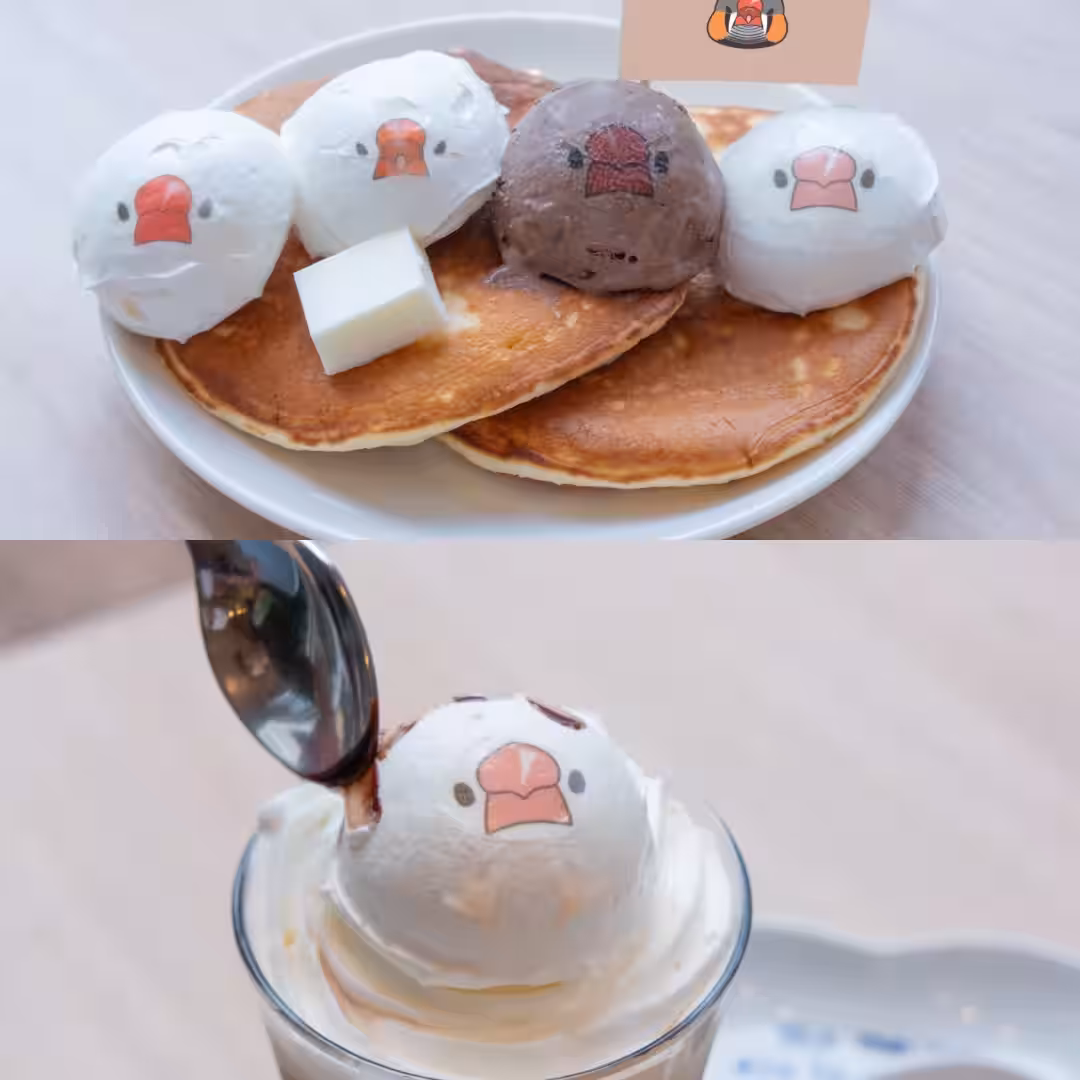 画像10
