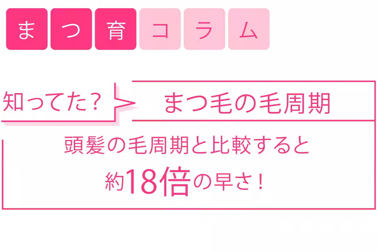 画像16