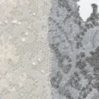 木村紅美受賞作