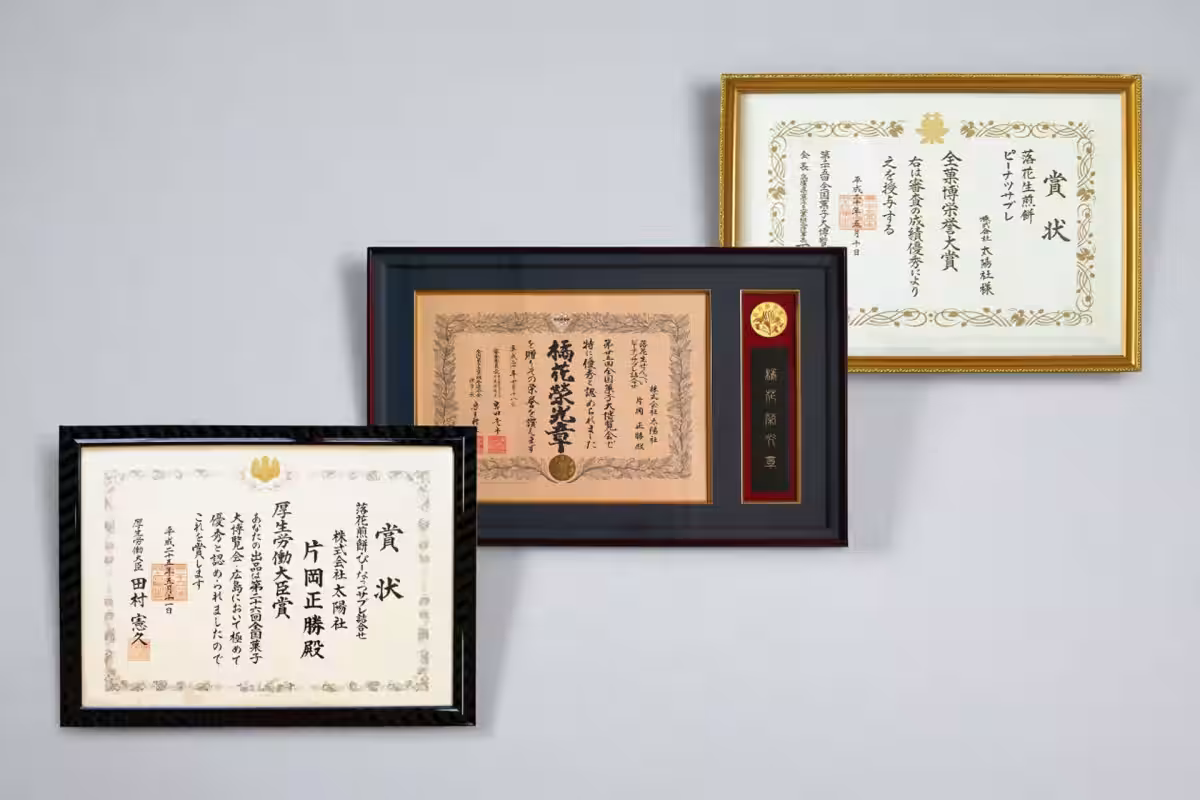 画像15