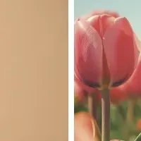 ユーソフルが登場