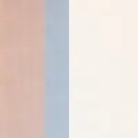 新料理長就任