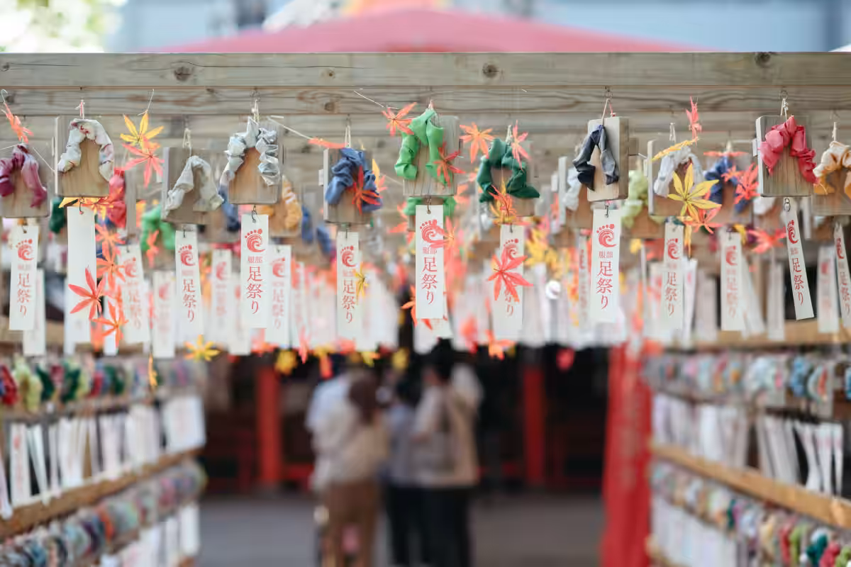 画像8