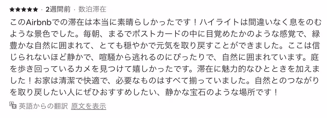 画像14