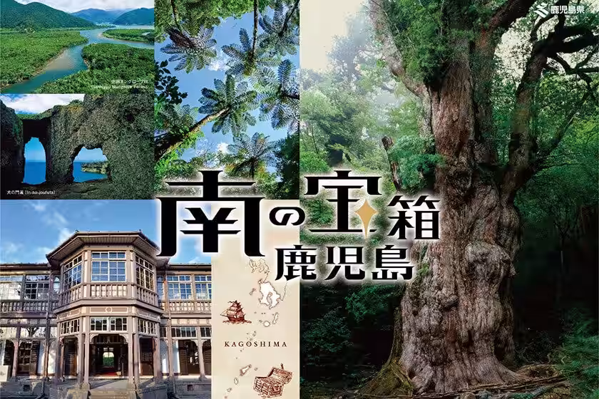 画像12