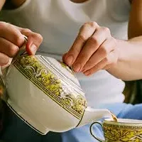 フロレンティーン コレクション新展開