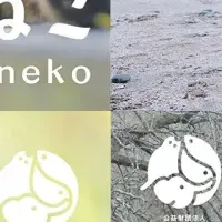 どうぶつ基金のカレンダー