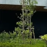 AIカメラで防犯強化