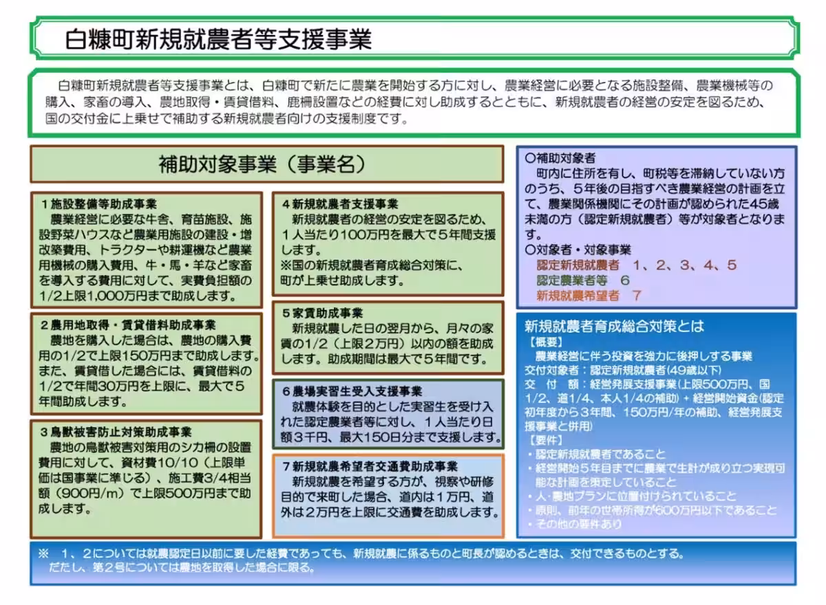 画像12