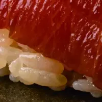 江戸前寿司特別コース