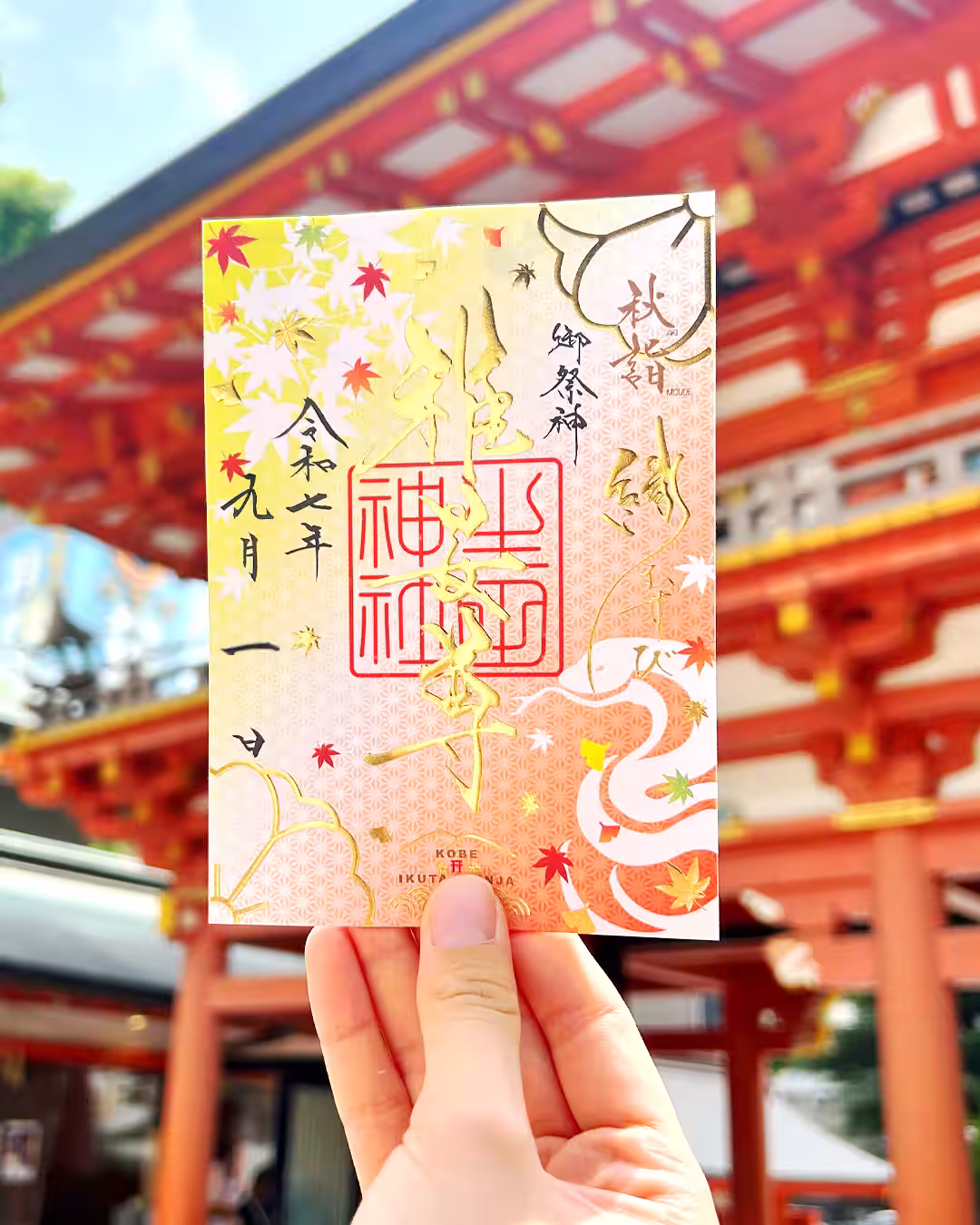 画像7