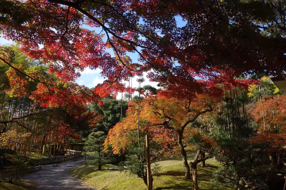 画像23