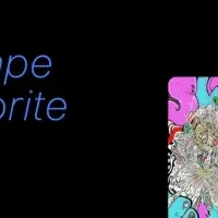 新アートプラットフォーム誕生