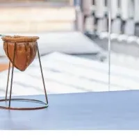 特別体験、ブルーボトル