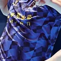 ハンドボール支援オークション