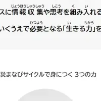 ルビフルボタン導入