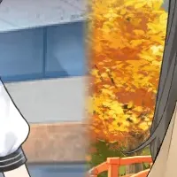 新ドール登場！