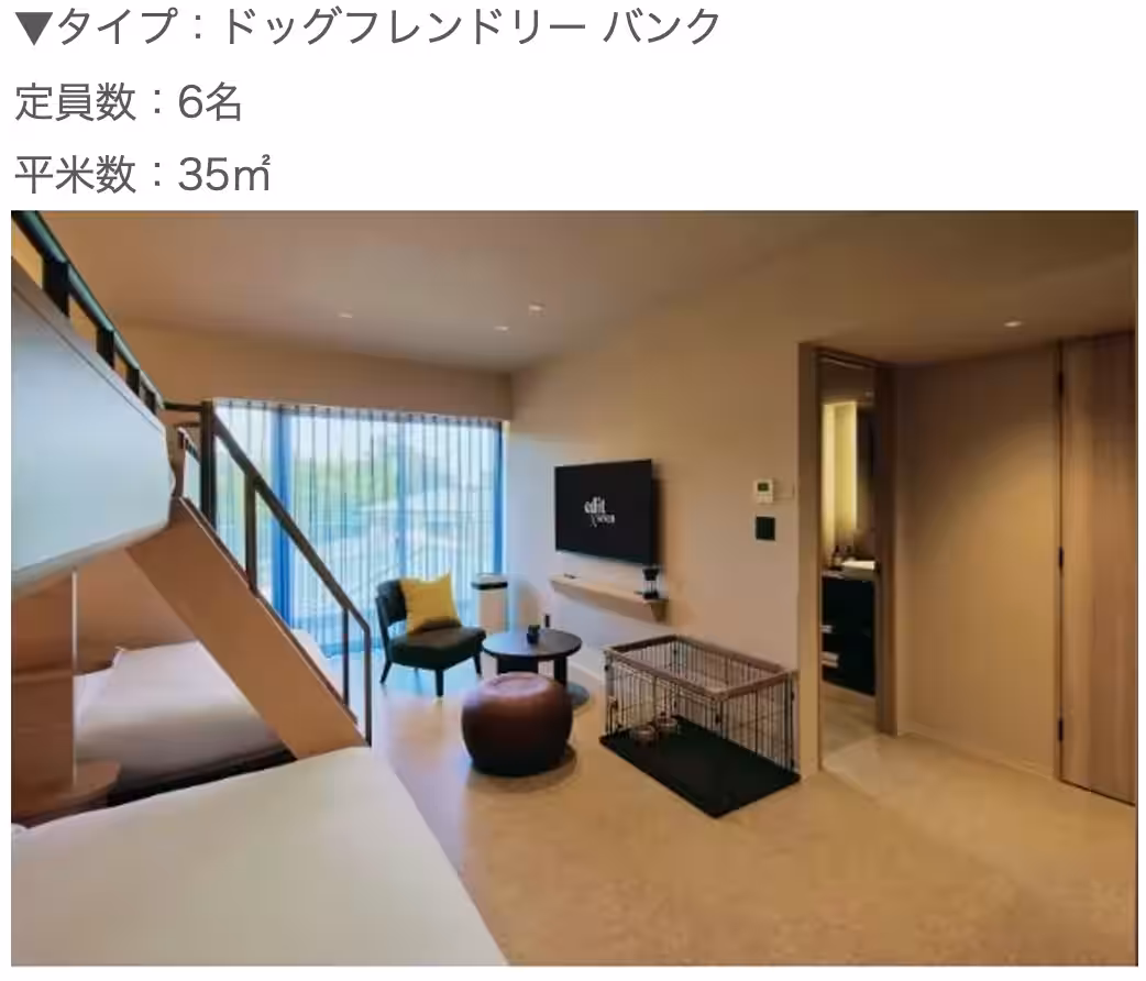 画像27