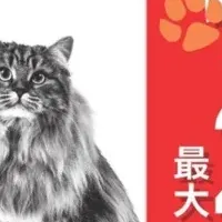 ロイヤルカナンキャンペーン