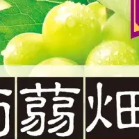新味の魅力解剖
