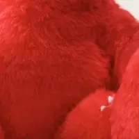 MAD STARS 2025受賞