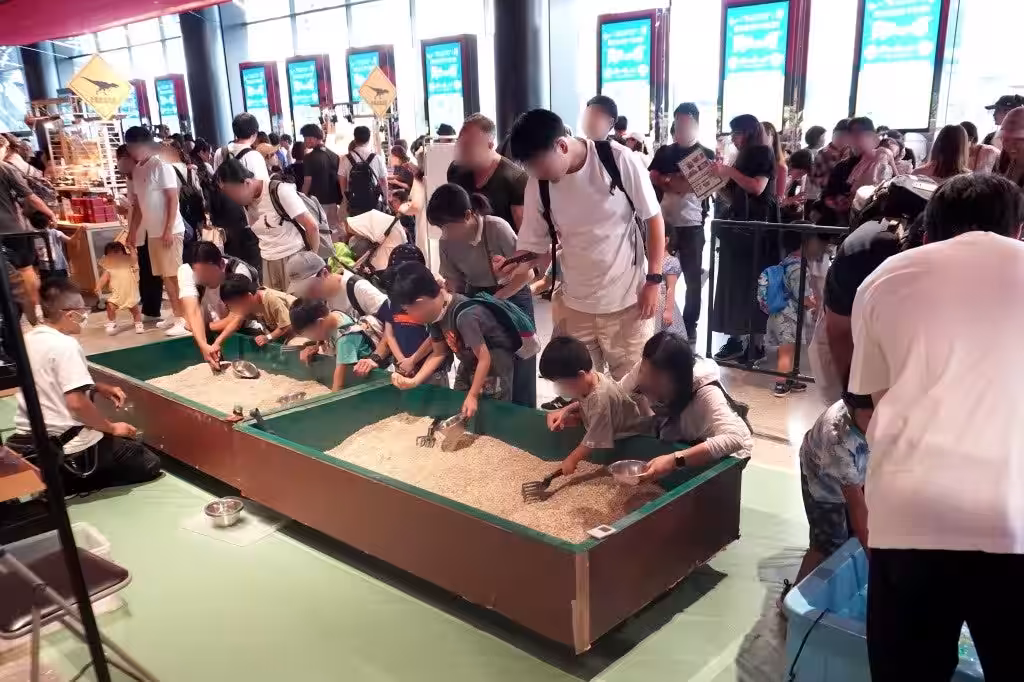 画像7