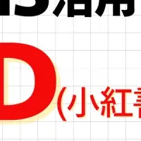 中国SNS「RED」活用法