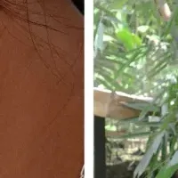 人気ジュエリー合同ポップアップ