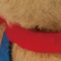 「ぽすくま」が選挙に