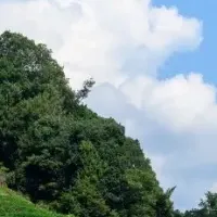 宇治茶プレミアムツアー