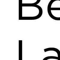 Beacon Labsの挑戦