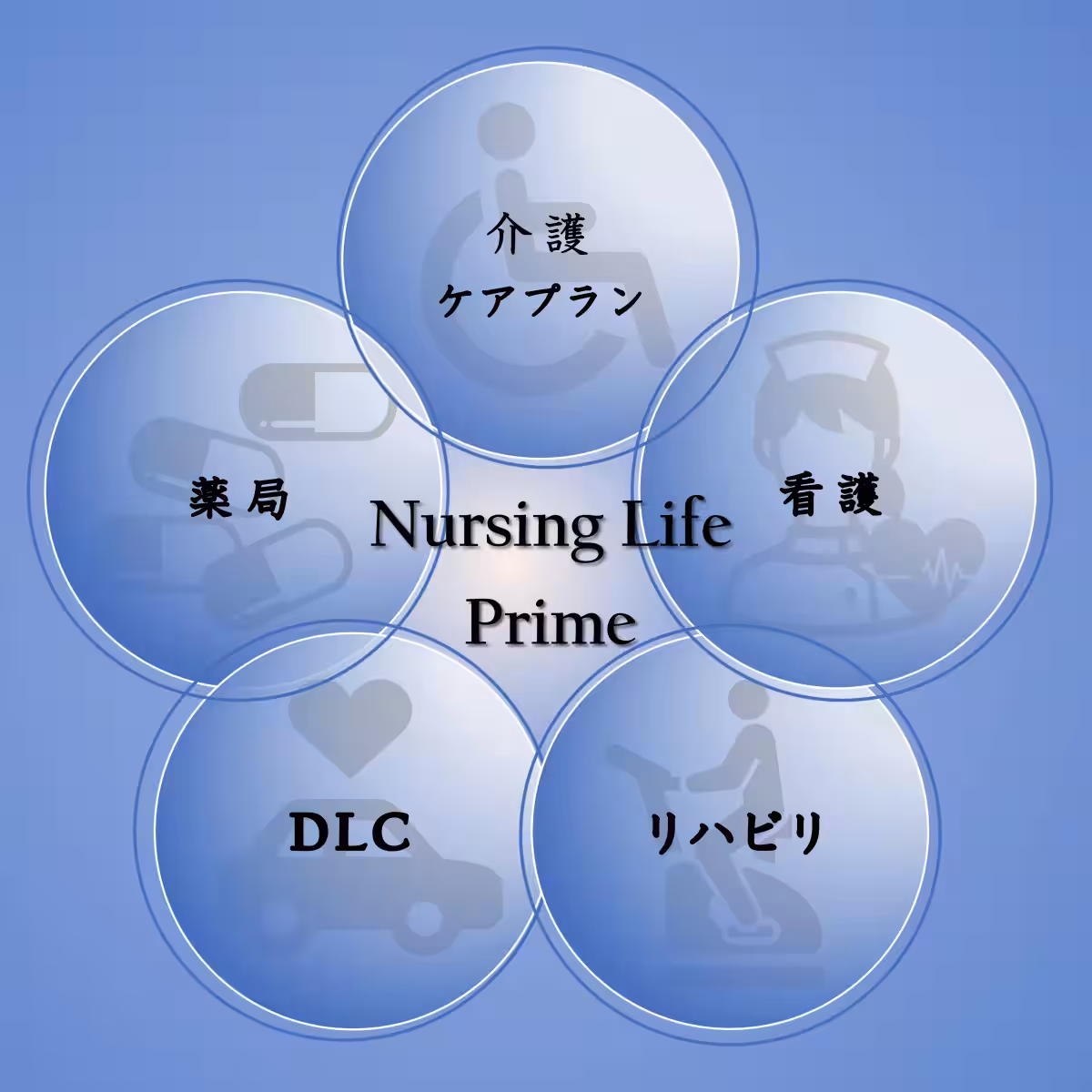 画像12