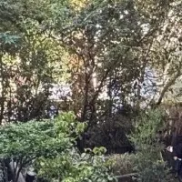 杜土木と0次産業